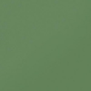 monokolor-cf-uf-007-zelenyy-matovaya-600-600