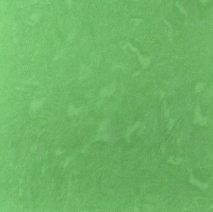 screenshot-4493